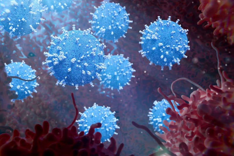 New Bone Cancer Therapy Kills Tumors and Relieves Pain - Image 3