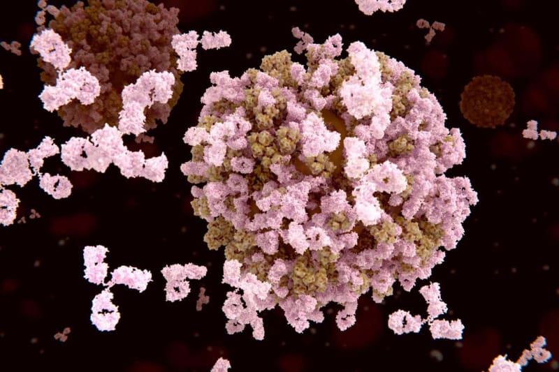 Nasal Spray Protects Against All Flu Strains in Trial - Image 5