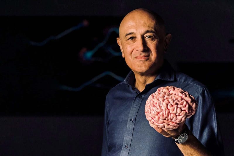 Scientists Grow Mini-Brain With Working Blood Vessels - Image 4