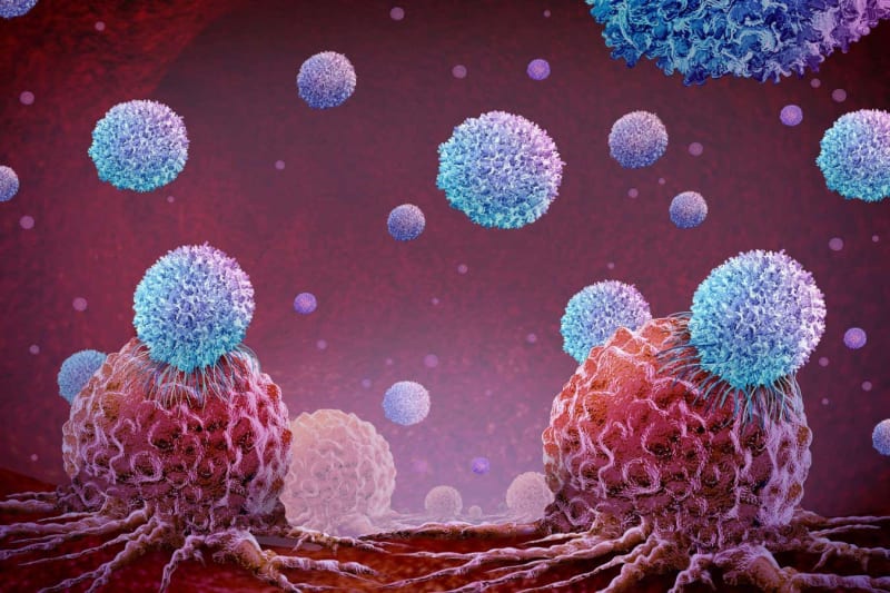Cancer-Fighting Cells May Slow ALS, Other Brain Diseases - Image 4