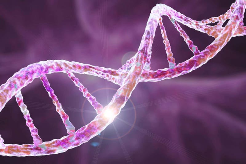 New Bone Cancer Therapy Kills Tumors and Relieves Pain - Image 4