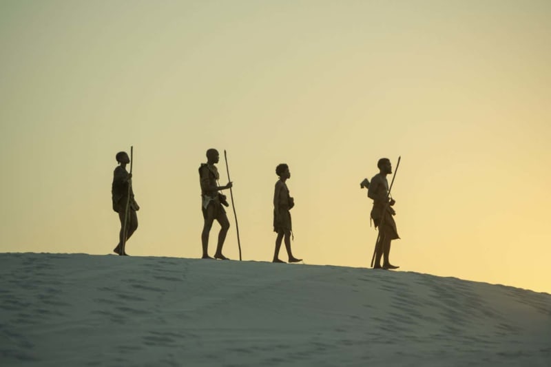 The Beautiful Bridge Between Nature Connection and Scientific Wonder - Image 4