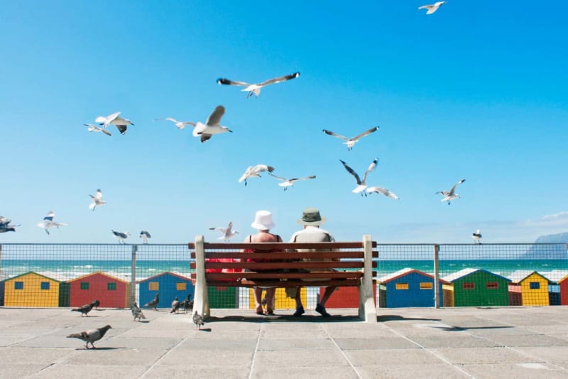 Science Proves Love That Grows Together Lasts Longer - Image 4