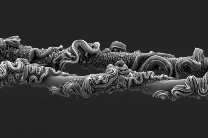 The Beautiful Bridge Between Nature Connection and Scientific Wonder - Image 3