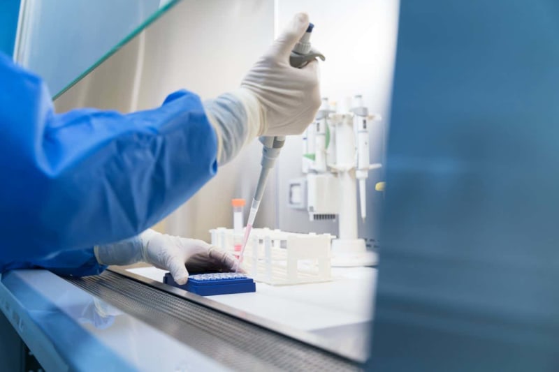 Denmark Beat Smallpox in 7 Years With 1800s Vaccine Push - Image 5