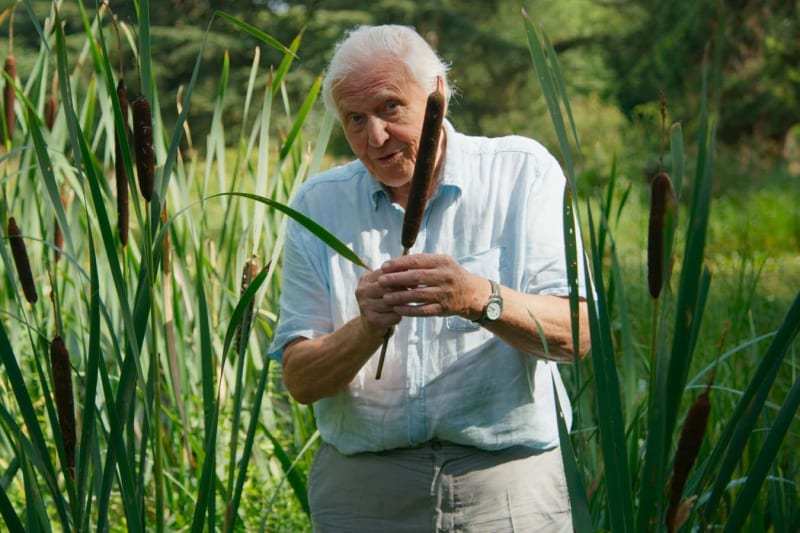 The Beautiful Bridge Between Nature Connection and Scientific Wonder - Image 2