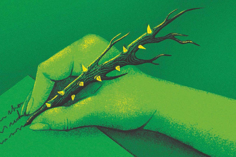 The Beautiful Bridge Between Nature Connection and Scientific Wonder