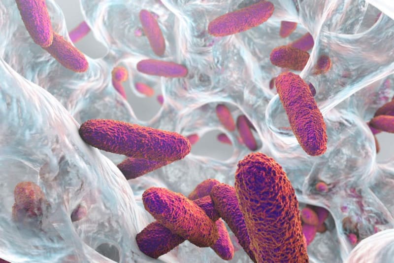 Massachusetts Veteran Recovers from Rare Auto-Brewery Syndrome with Microbiome Treatment