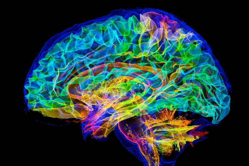 Human Brain Cells Learn to Play Doom in Just One Week - Image 4