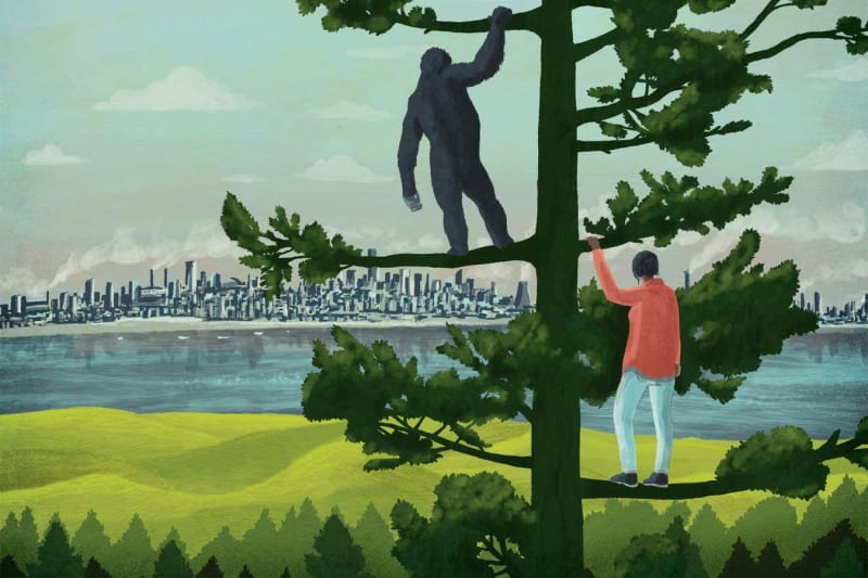 Animals From Whales to Wallabies Share Culture Like Humans