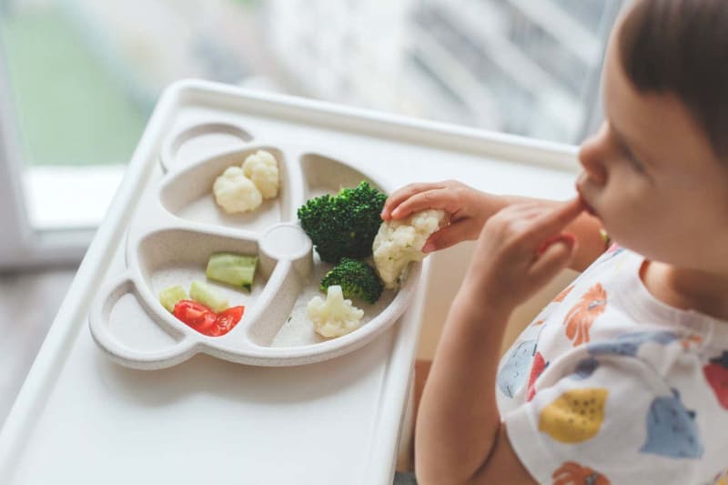 Vegan Babies Catch Up to Peers by Age 2 in Major Study