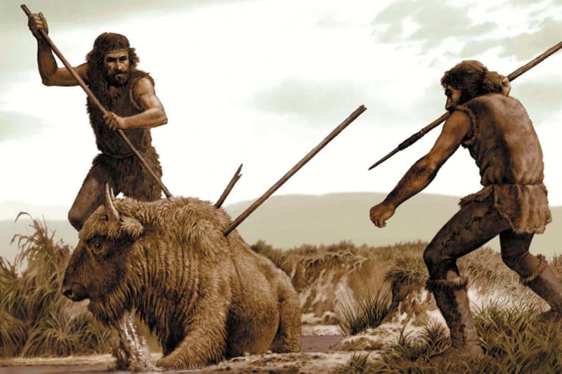 Scientists Trace Human Tool-Making Back 3 Million Years