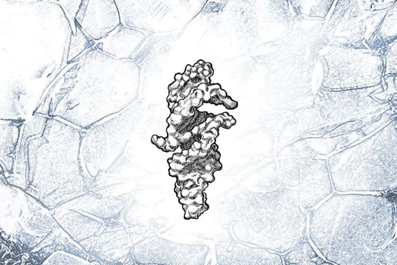 RNA Molecule Takes Us Closer to Origins of Life