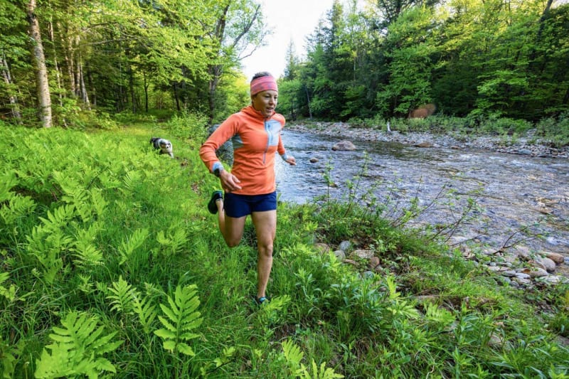 Harvard Scientists Find Hidden Vessels Inside Human Brain - Image 5