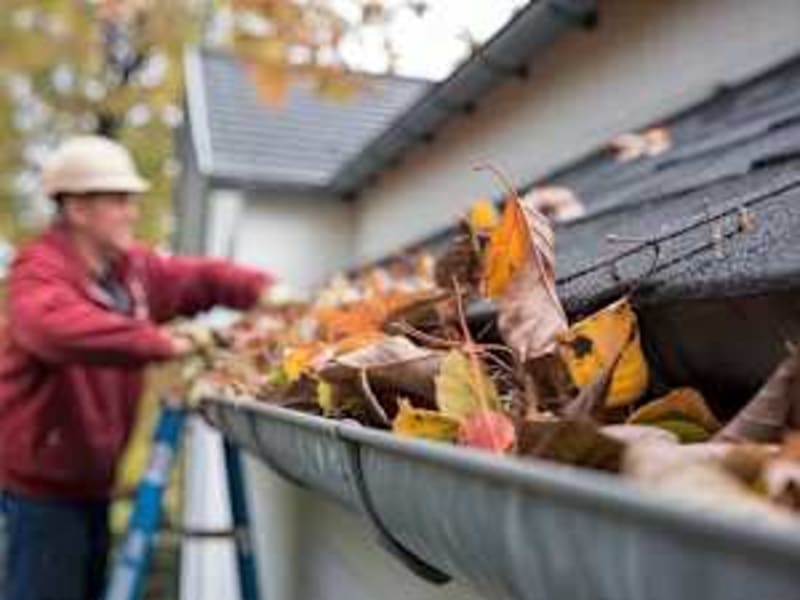 Olympic Gold Medalist to Keynote Florida Women's Event - Image 4