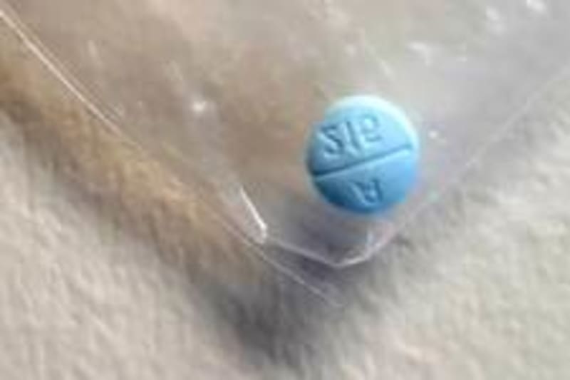 California Rebuilds 90+ Fish Stocks in 25 Years - Image 3