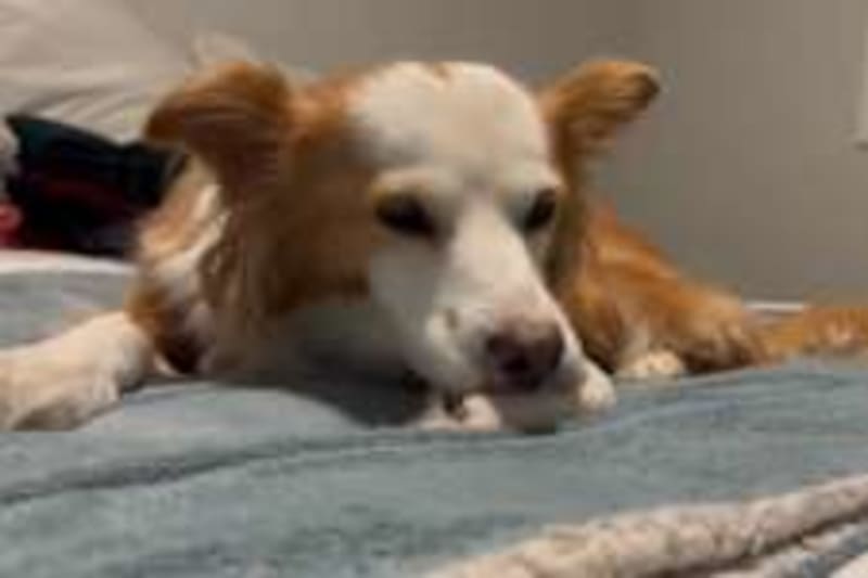 Toronto Man Brings Joy to Transit Riders One Greeting at a Time - Image 5