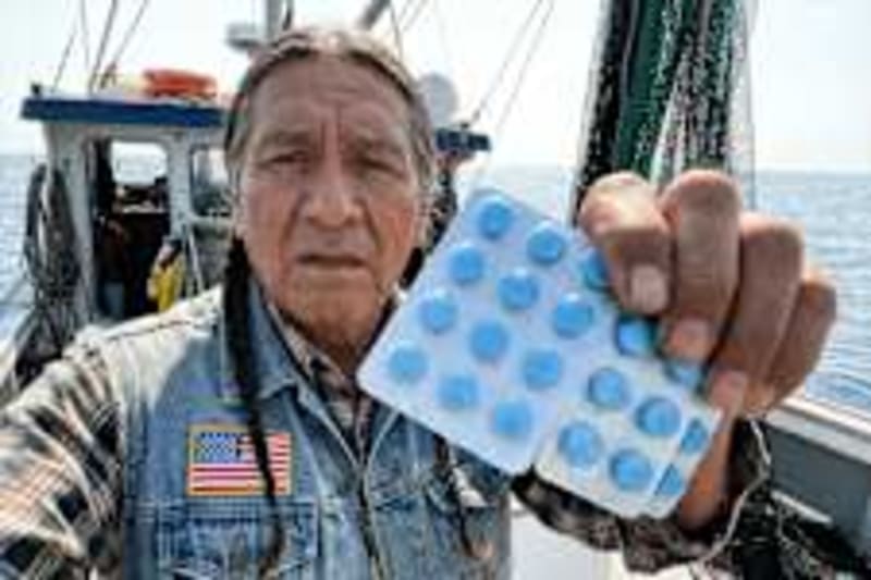 Elephant Trunk Whiskers Work Like a Touch Map for Tiny Objects - Image 3