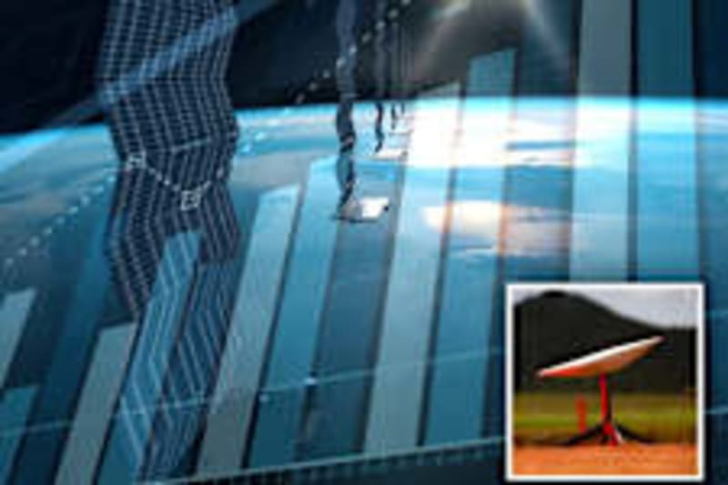 Missing Cat's Mustache Reunites Her After 4 Years - Image 5