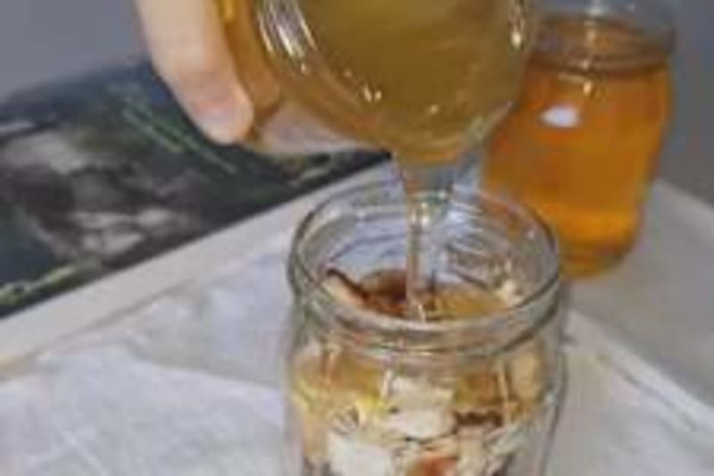 Missing Cat's Mustache Reunites Her After 4 Years - Image 3