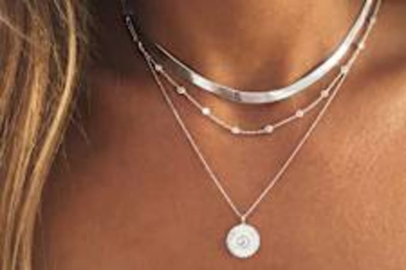 Endangered Turtle Flies First Class to Recovery After Storm - Image 5