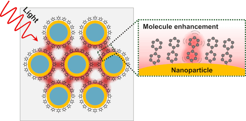 Rice University Creates Faster Test for Water Toxins - Image 3