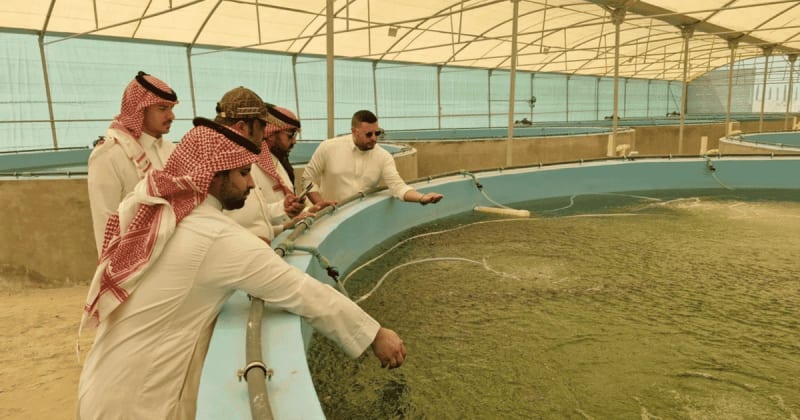 Modern fish farming tanks at NAPCO Aqua's tilapia production facility in Saudi Arabia