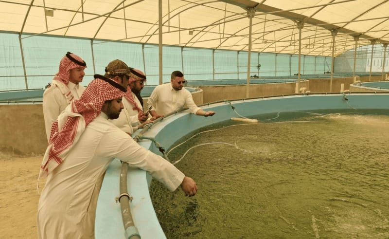 Saudi Fish Farm Hits 200 Tonnes in Vision 2030 Push - Image 3