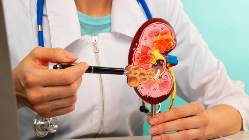 India Expands Kidney Transplants With Blood Type Breakthrough