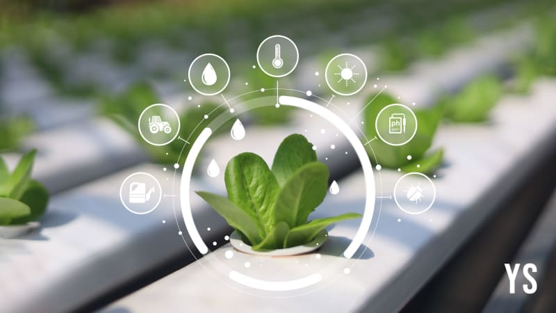 India Tests Blockchain Lending to Help Farmers Access Credit