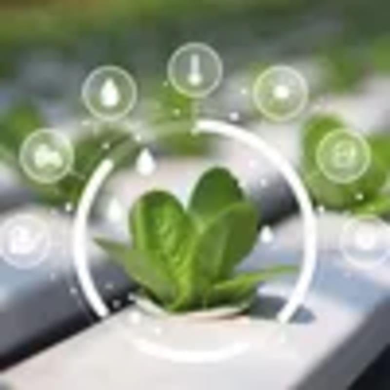 AI Platform Connects 1,200 Farm Workers to Steady Jobs in India - Image 3