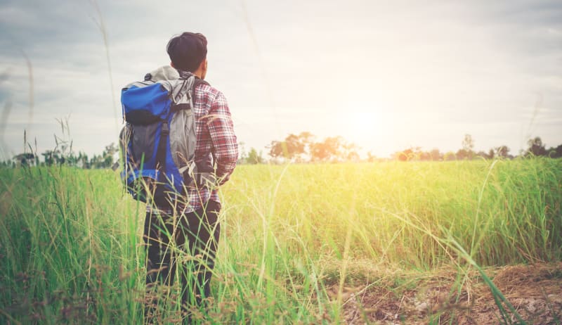 Indian Professionals Trade City Desks for Managed Farmland