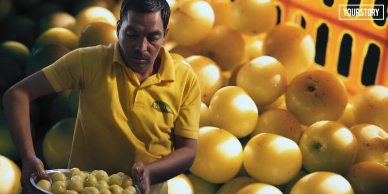 Indian Town Turns Amla Fruit into Year-Round Jobs