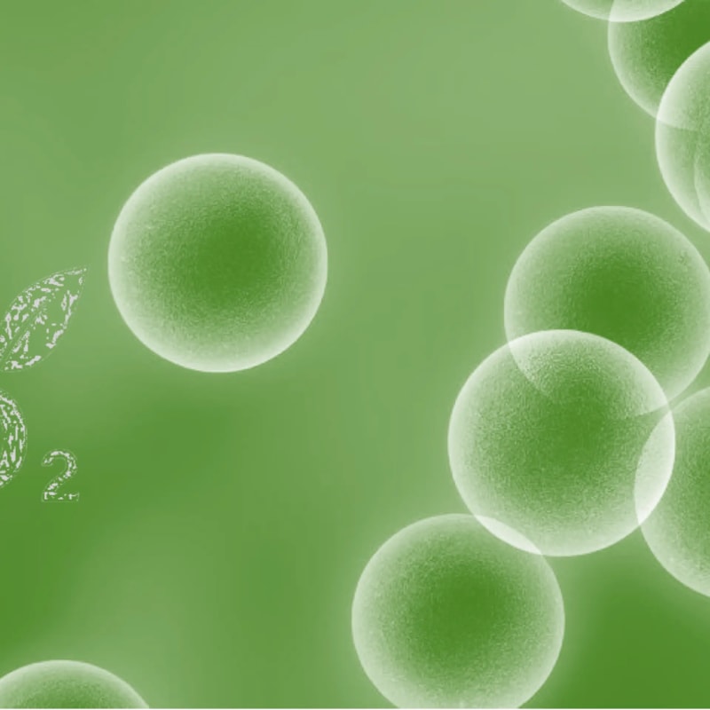 Young Designer Empowers Women Artisans Through Jewellery Venture in Badaun, India - Image 5