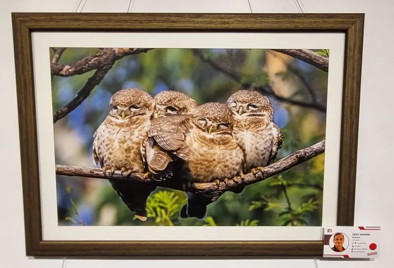 Mumbai Photo Community Hits 12,700 Members Through Mentorship - Image 3
