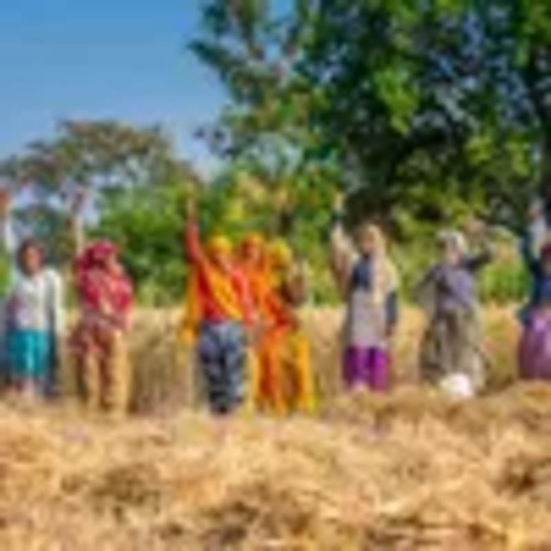 AI Platform Cuts Health Supplement Development Time by 50% - Image 4