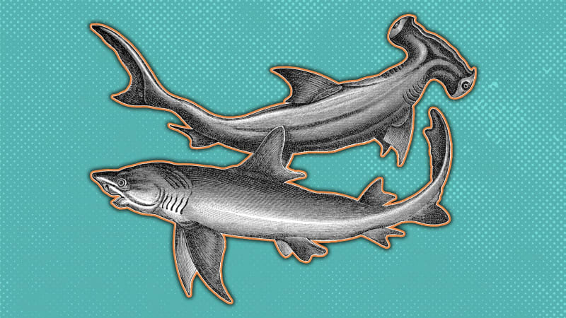 Time-Traveling Tales: 6 Unbelievable Facts That Will Blow Your Mind