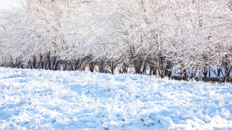 Winter Weather Myths Debunked: 10 Surprising Cold Climate Facts