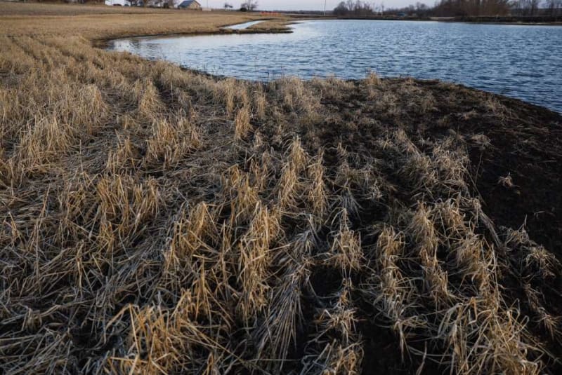Iowa Farmers Tackle Erosion to Protect Flood-Fighting Ponds - Image 4