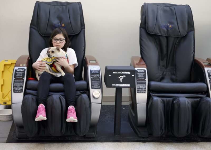 Rescue Dogs Kiss Shoppers at Mall Adoption Event - Image 4