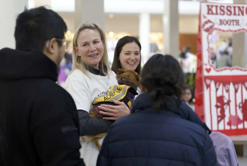 Rescue Dogs Kiss Shoppers at Mall Adoption Event - Image 3