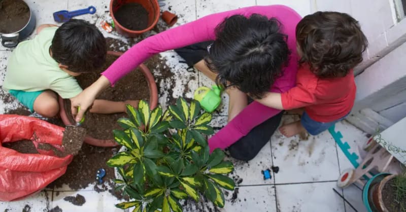 Why Gardening May Be the Best Habit for Kids - Image 3