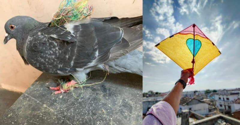 5 Couples Found Love in Their 50s After Loss and Divorce - Image 4