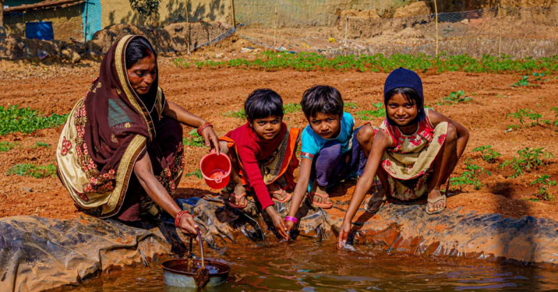 Indian Farmers Grow More Rice Using 50% Less Water - Image 3