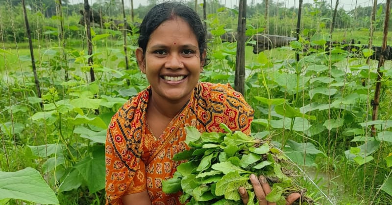 School Dropout Earns $14K Yearly Growing Moringa in India - Image 4