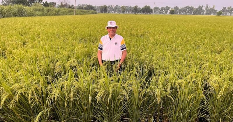 Indian Farmers Earn $600/Day Turning Waste Into Compost - Image 4