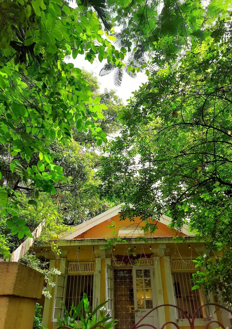 Srinagar Garden Brings Hope After Year of Fear - Image 5