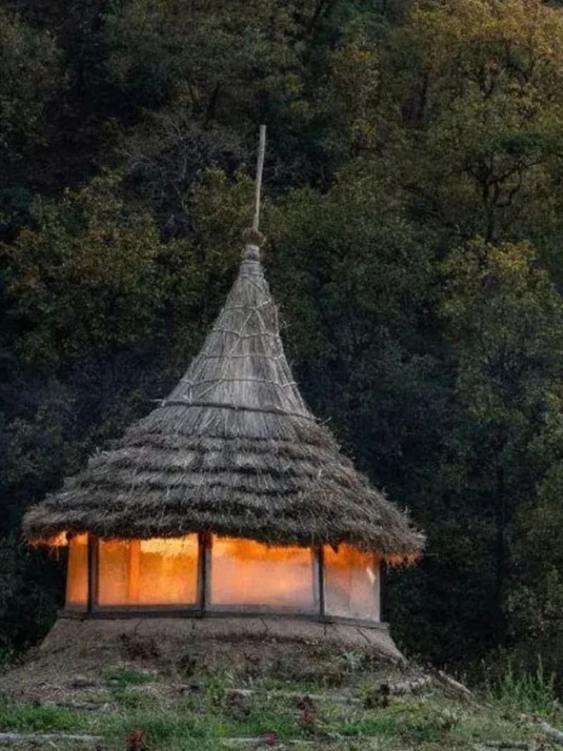 Farmer Turns 40 Acres Into Mango Paradise With 2,000 Trees - Image 4