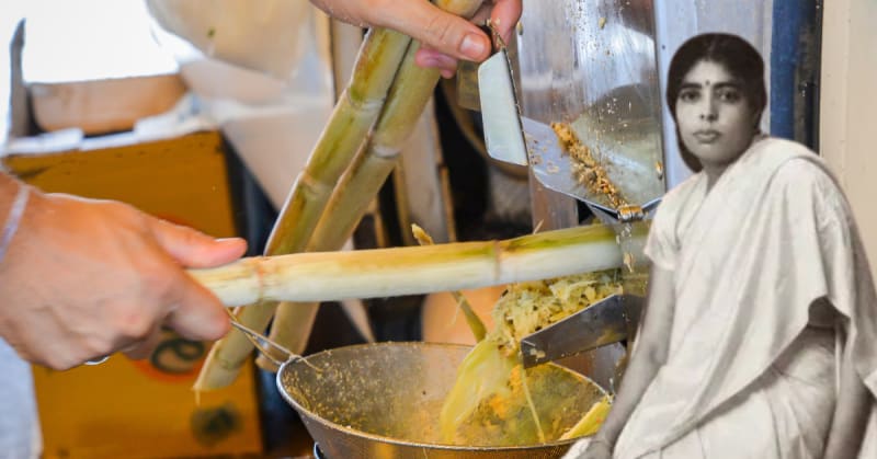 Indore Turns 100-Acre Landfill Into $48M Asset in 6 Months - Image 4