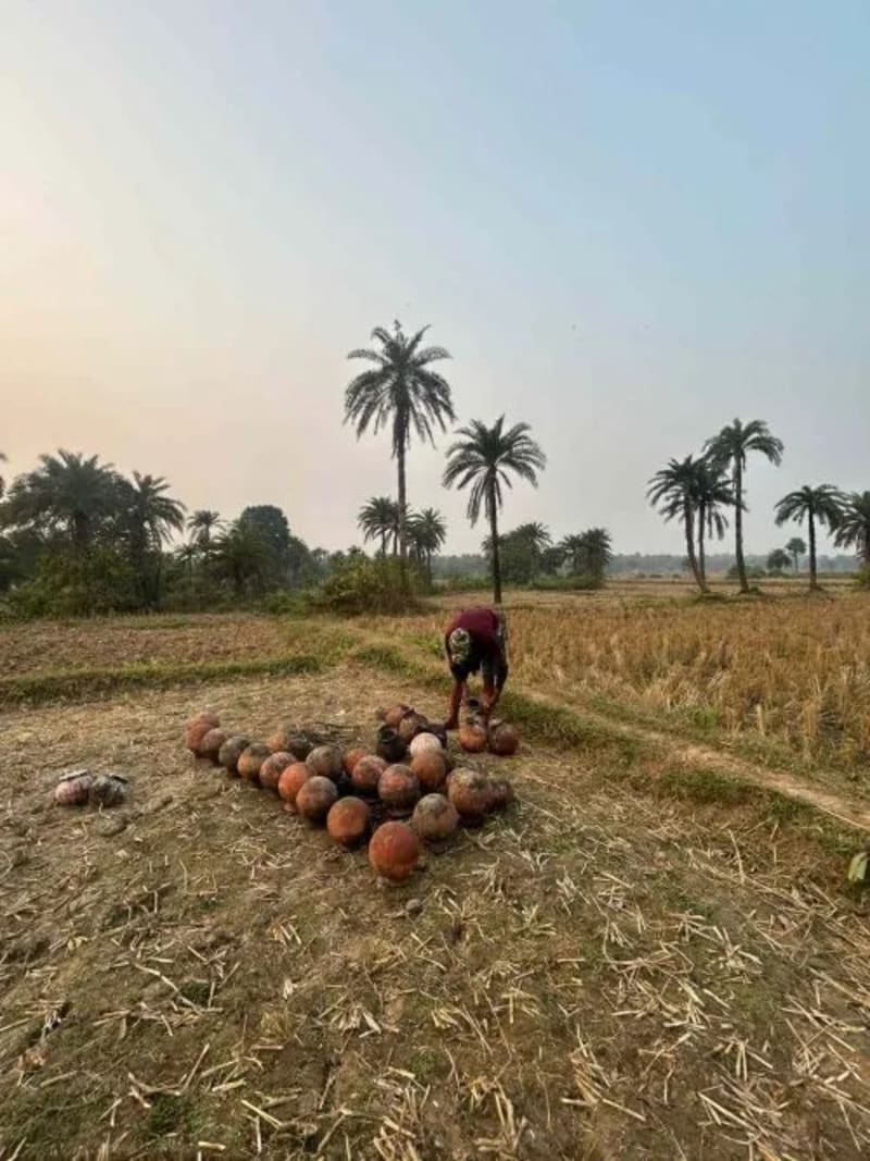 Kolkata Duo Revives Bengal's Ancient Jaggery Tradition - Image 4